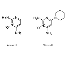 Aminexil for root support