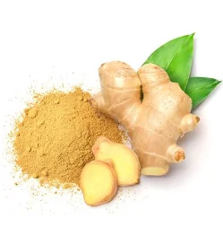 Ginger root extract for scalp freshness